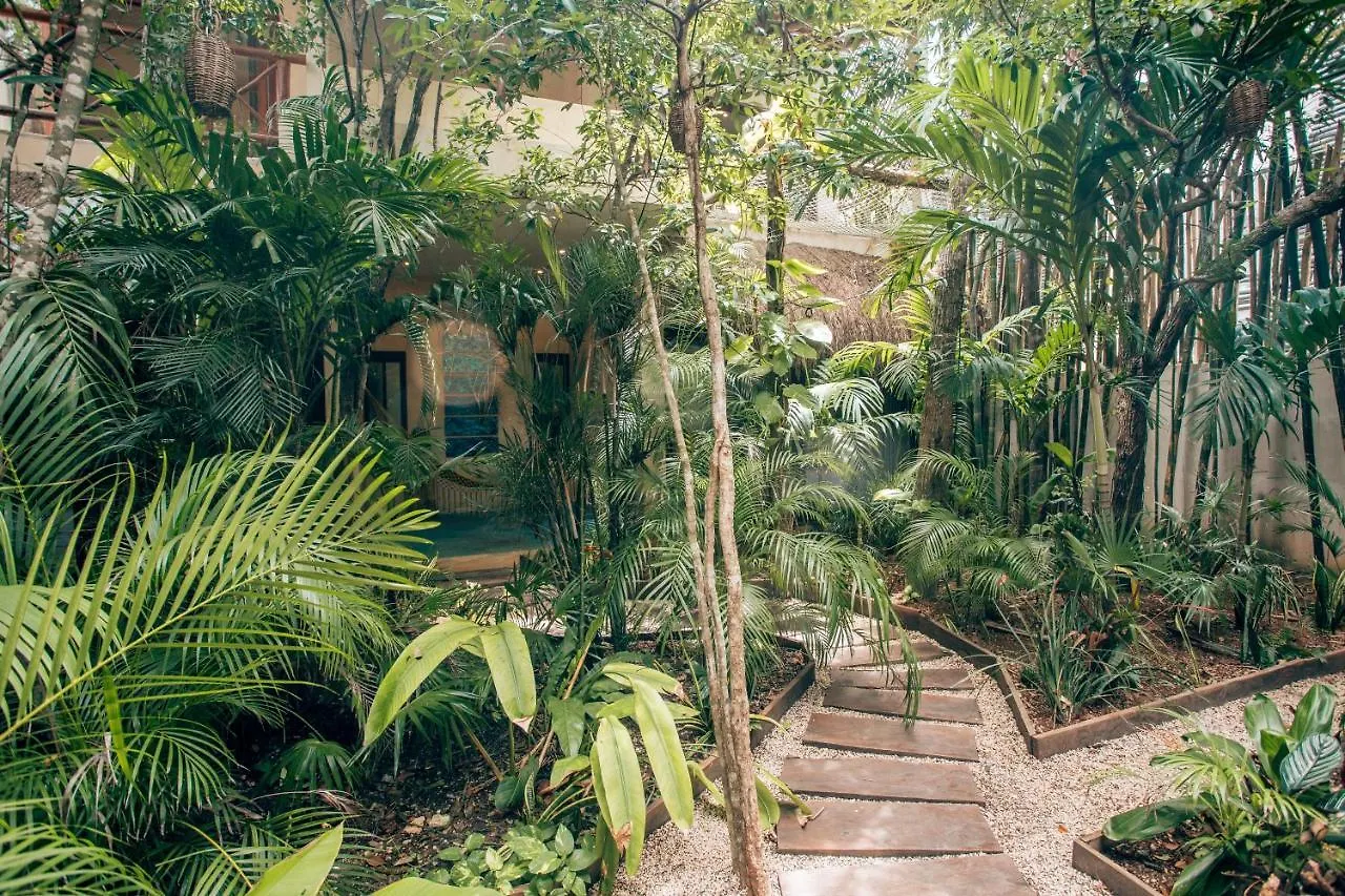 Orchid House Tulum Jungle Otel Meksika