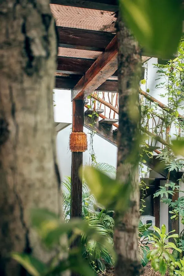 Orchid House Tulum Jungle Otel 5*,