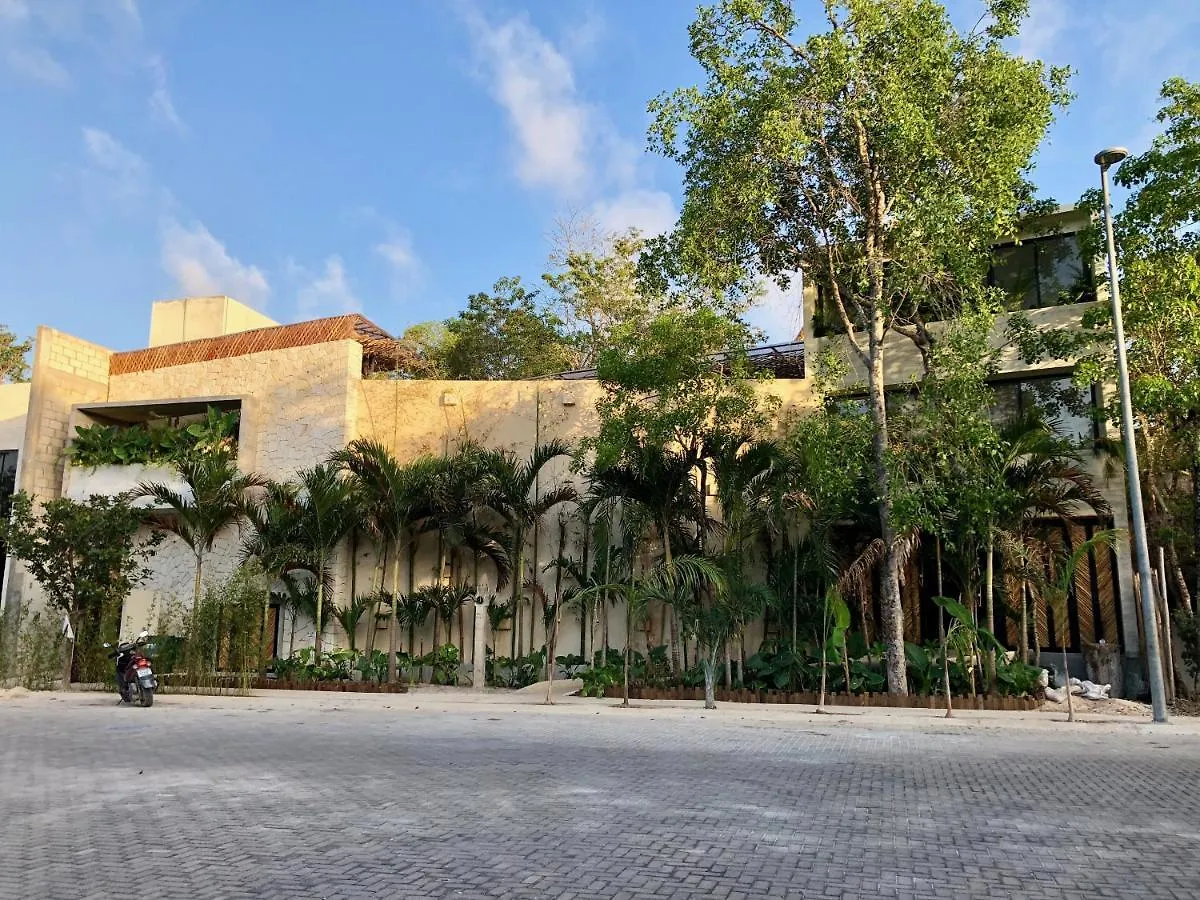 Hotel Orchid House Tulum Jungle