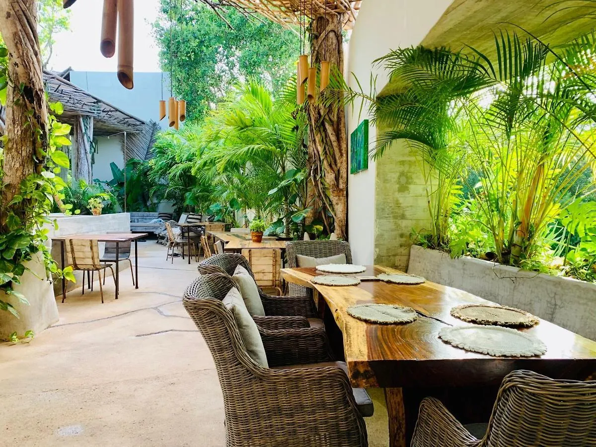 Hotel Orchid House Tulum Jungle 5*,  Messico