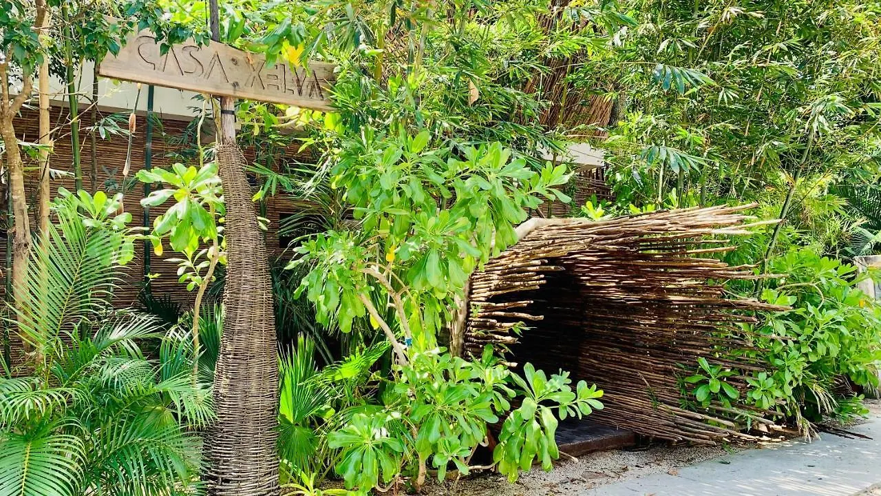 Hotel Orchid House Tulum Jungle