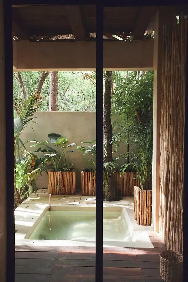 Hotel Orchid House Tulum Jungle