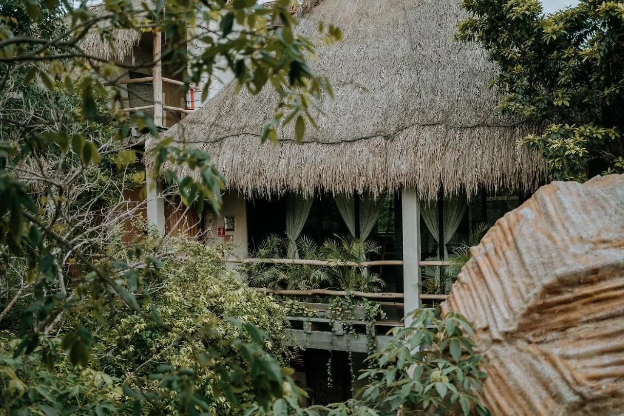Orchid House Tulum Jungle Hotel