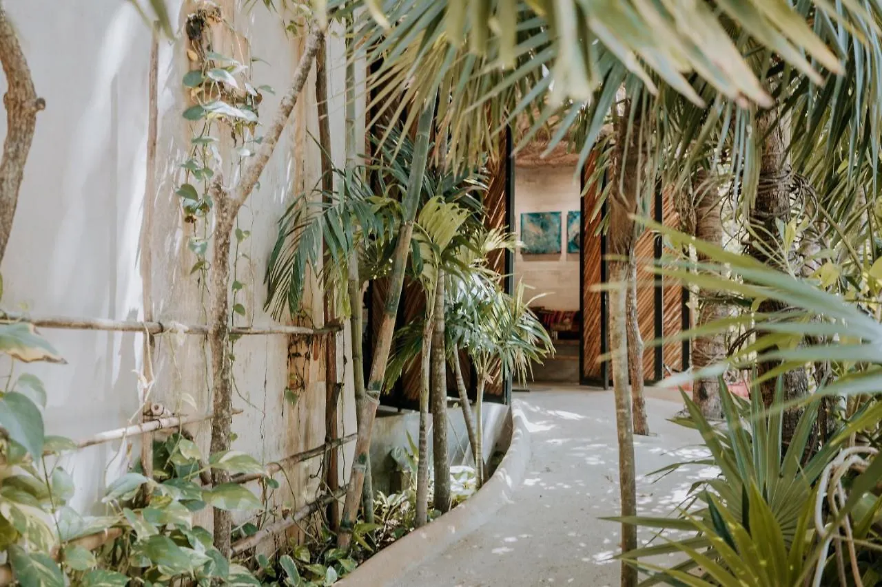 فندق Orchid House Tulum Jungle 5*,