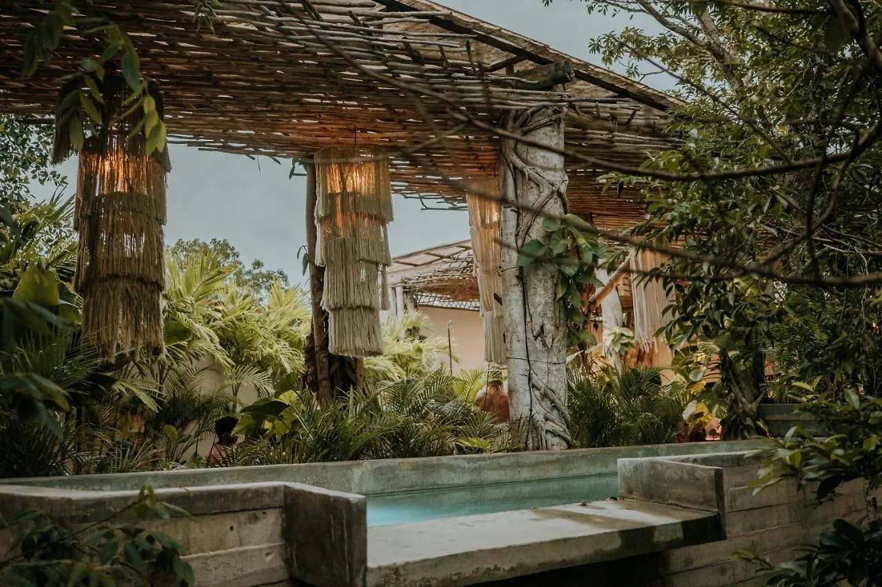 فندق Orchid House Tulum Jungle