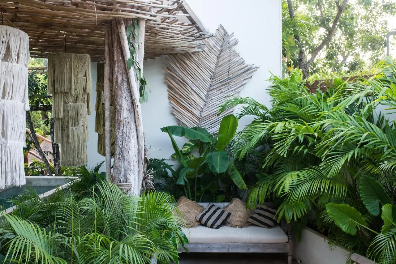 Orchid House Tulum Jungle Hotel
