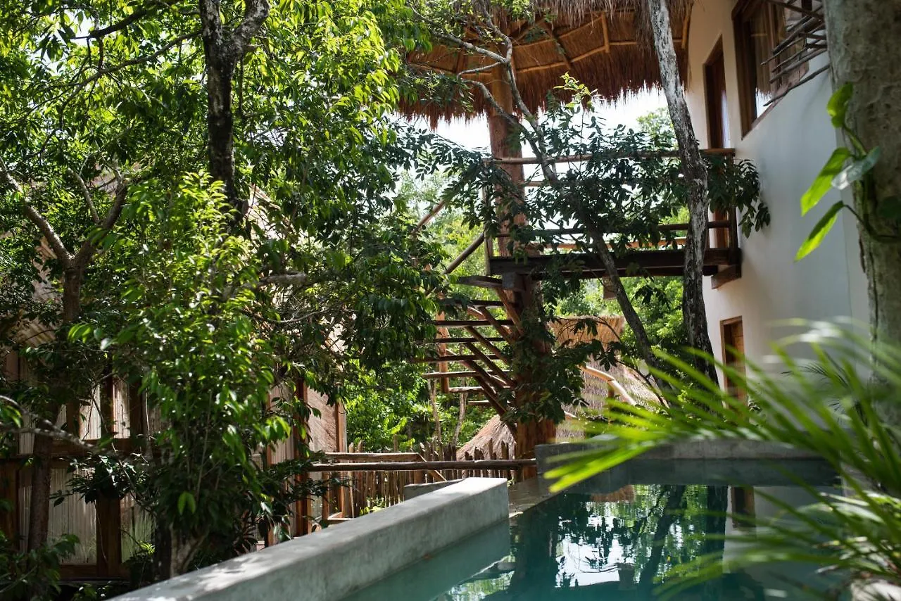 Orchid House Tulum Jungle Hotel