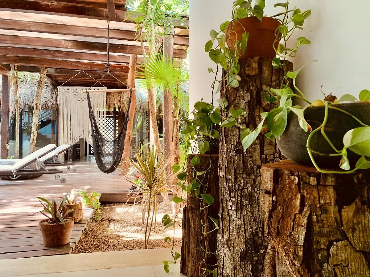 Orchid House Tulum Jungle Hotel