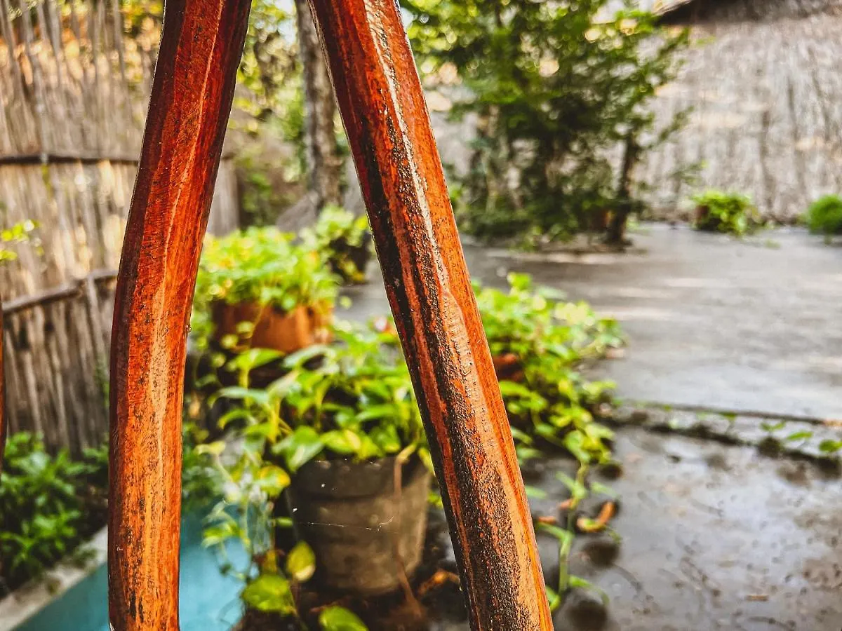 فندق Orchid House Tulum Jungle المكسيك
