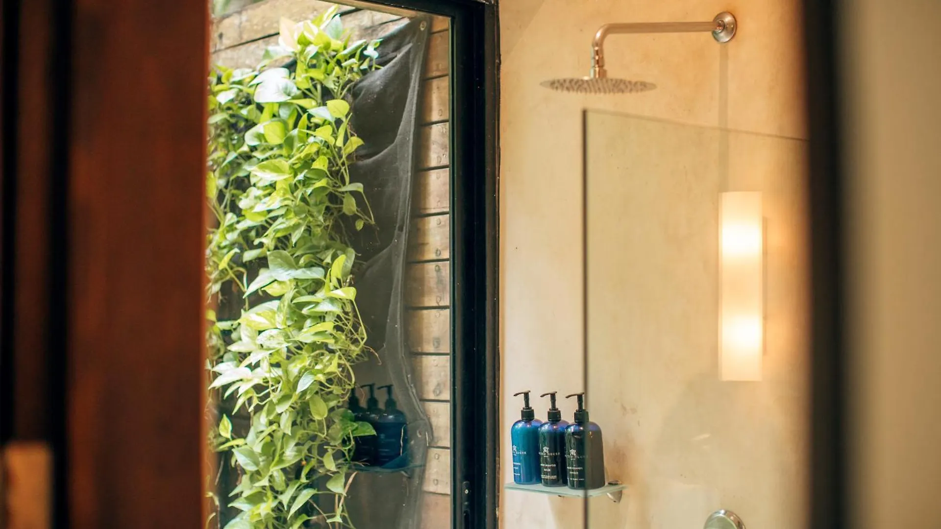 فندق Orchid House Tulum Jungle
