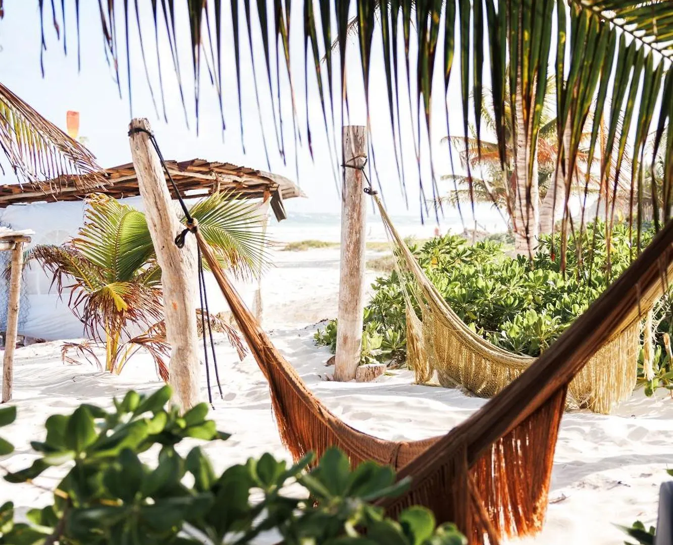 Orchid House Tulum Jungle Hotel