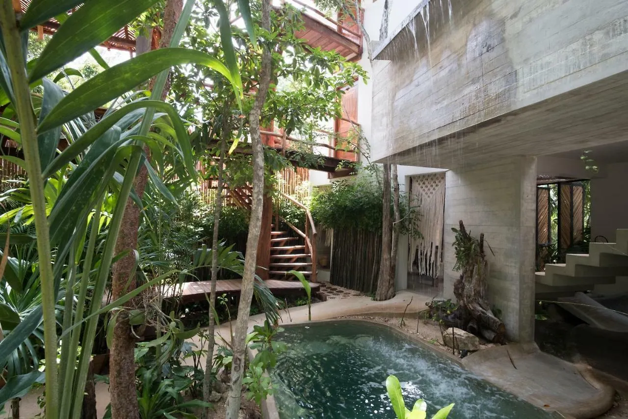فندق Orchid House Tulum Jungle 5*,  المكسيك